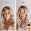 Sipresa Splash'n Shine Hair Perfume Oil 9 Unique Scents in 1 Pack Natural Plant-based Oils 72H Long-Lasting Fragrance 36-PCs Travel Set  Haircare